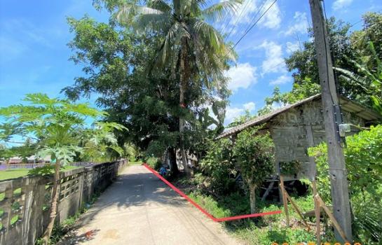 ��ҹ��к�� �� panaya.opalopal