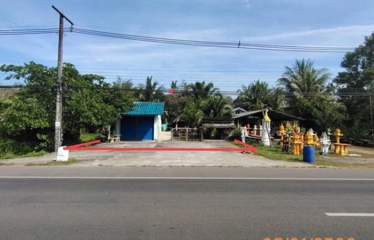 ��к�� �� compos2566