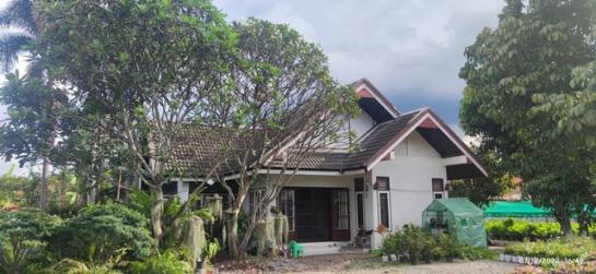 ��§���� �� sopa