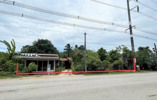 ��ҹ��к�� �� panaya.opalopal