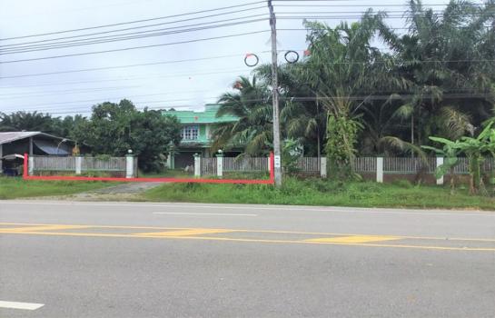 ��к�� �� panaya.opalopal