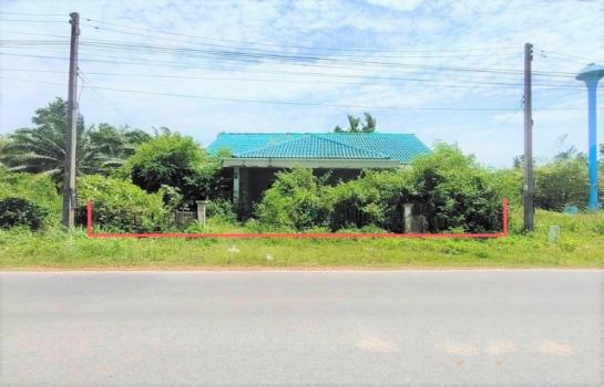 ��ҹ��к�� �� panaya.opalopal