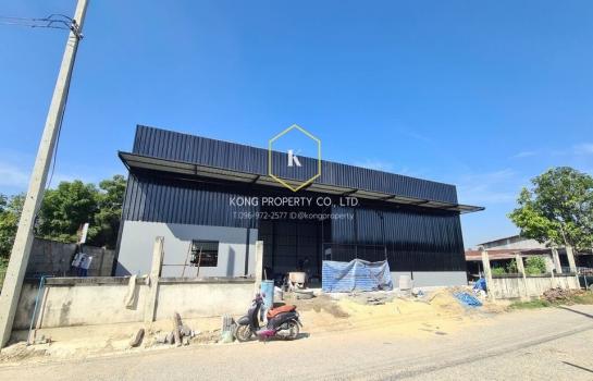 ��ͧ����� �� Kong property