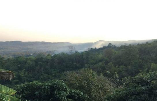 �ҧ�� �� onanong khumaphao