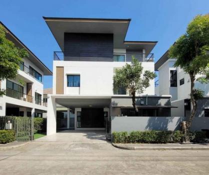 �ǹ��ǧ �� Nuttapong