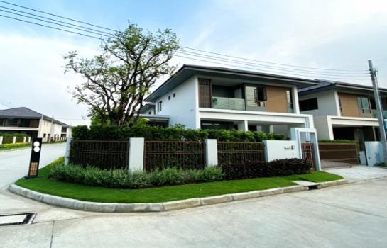 ��ҹ�ҧࢹ �� Nuttapong