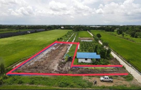 �ѭ���� �� sopa