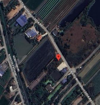 ������� �� sopa