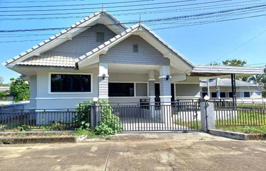 �Ң�ѭ �Ź�����