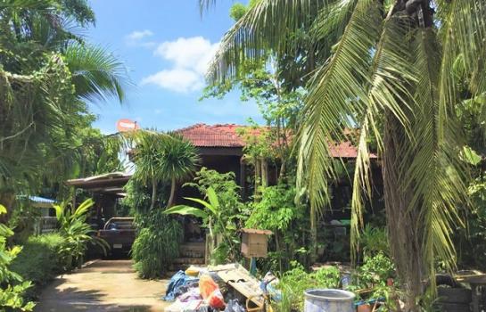 ��к�� �� panaya.opalopal