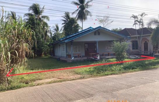 ��ҹ��к�� �� panaya.opalopal