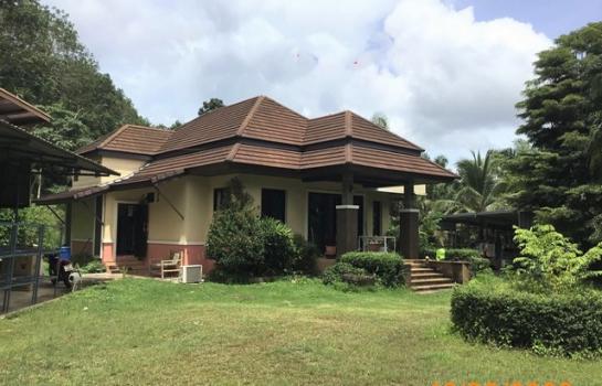 ��к�� �� panaya.opalopal