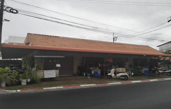 ������� �� sopa