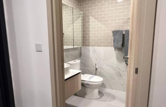 �͹���������ԧ�� �Ҫ���