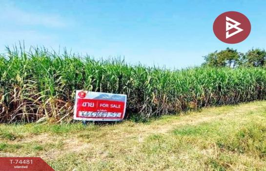 ���Թ �ӹ�