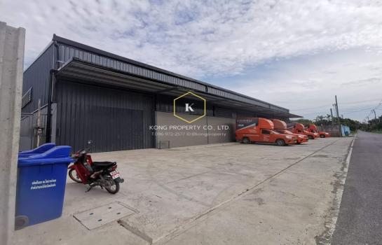 �ҧ���� �� Kong property