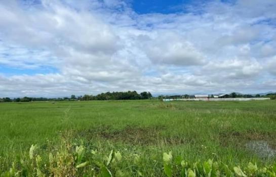 �ҧ�� �� onanong khumaphao