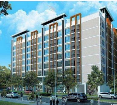 �Ѳ�� �� sopa