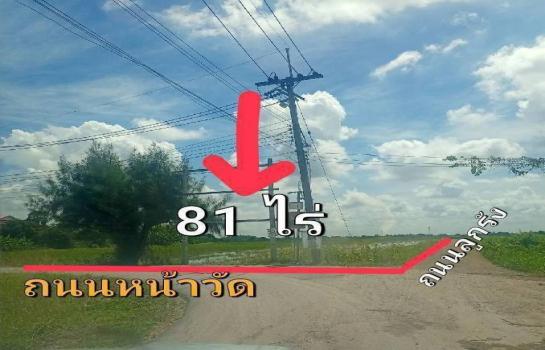 �ҧ�� �� TheEstate78924