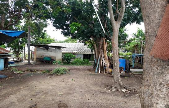 ��¹�û�� �� pazarestate1