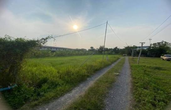 �ѹ��ᾧ �� northern1