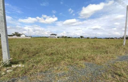 ������� �� onanong khumaphao