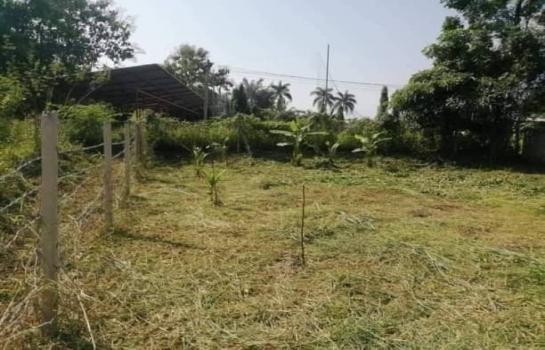 ������� �� northern1