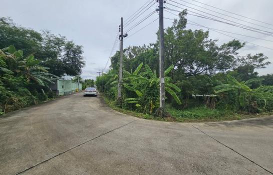 ���Թ Lotus �������