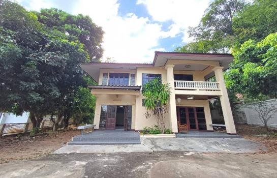 �Ң�ѭ �Ź�����