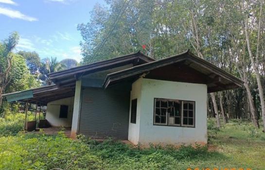 ��ҹ��к�� �� panaya.opalopal