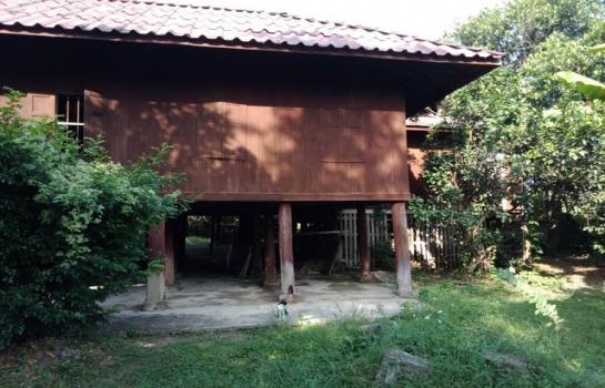 ����� �� sopa