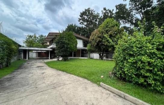 �ѧ�ͧ��ҧ �� ��ͼ��