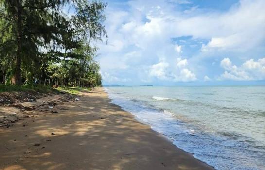 ���Թ ���ǹ �����