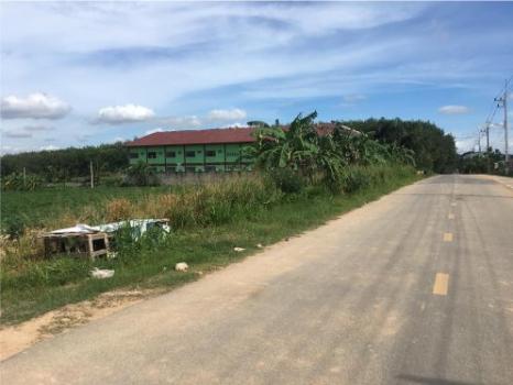 ���Թ Lotus �������