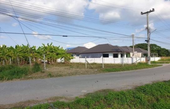 �ҧ�� �� northern1