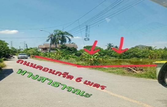 ������� �� TheEstate78924