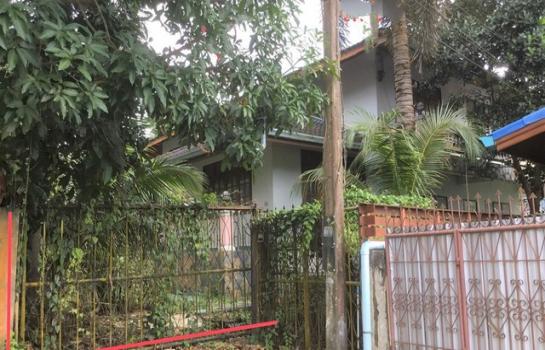 ��ѧ �� compos2566