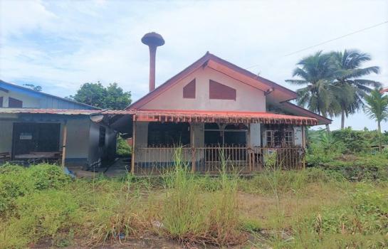 ��µ�ѧ �� panaya.opalopal