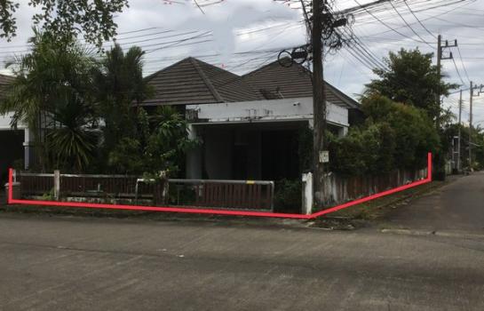 ��ѧ �� compos2566