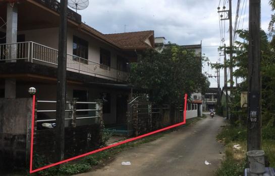 ��ѧ �� compos2566