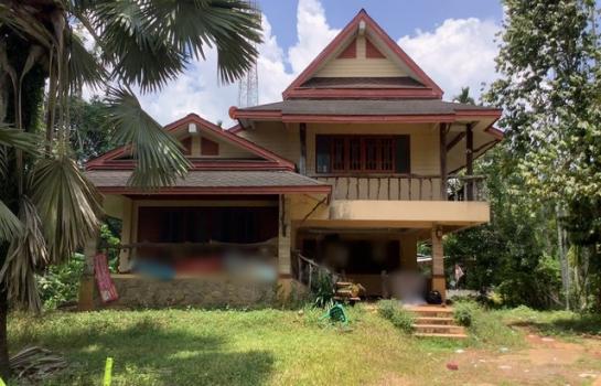 ��µ�ѧ �� panaya.opalopal