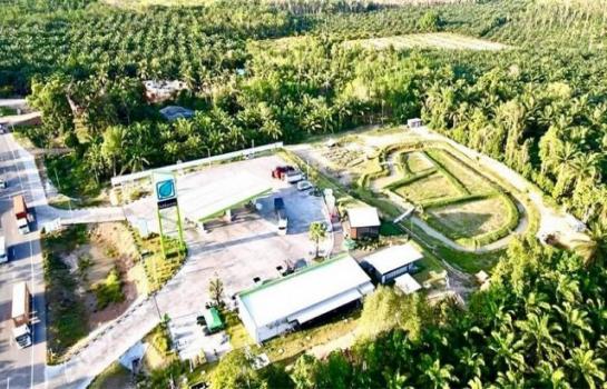 ��·��Թ ���������