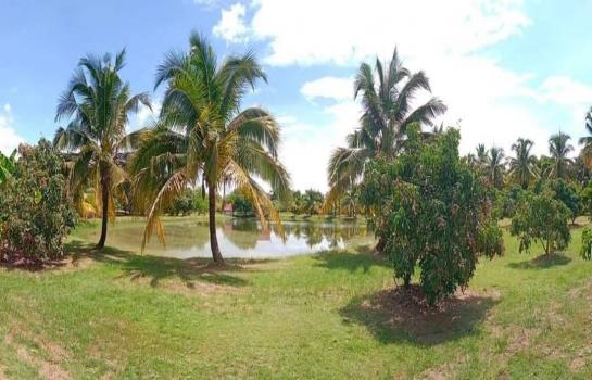 ����� �� Sawasdee