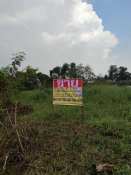 ������ �� zionasset1