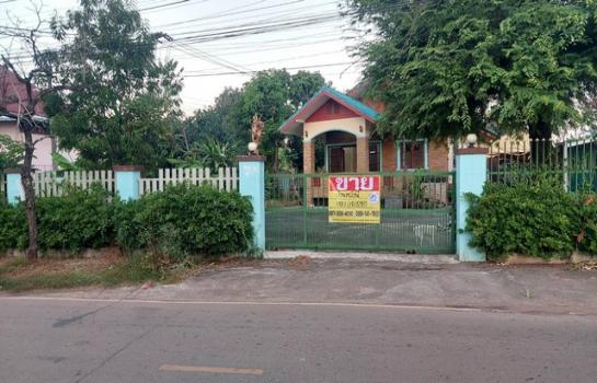 ˹ͧ��� �� zionasset1