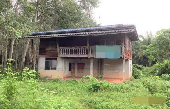 ��µ�ѧ �� panaya.opalopal