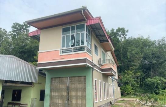 ��µ�ѧ �� panaya.opalopal