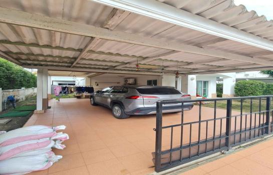 �͹���ͧ �� AssetD4U