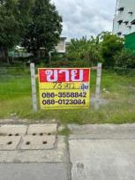 ��·��Թ �Ҥһ�С�Ȣ�� 2,774,000 �ҷ