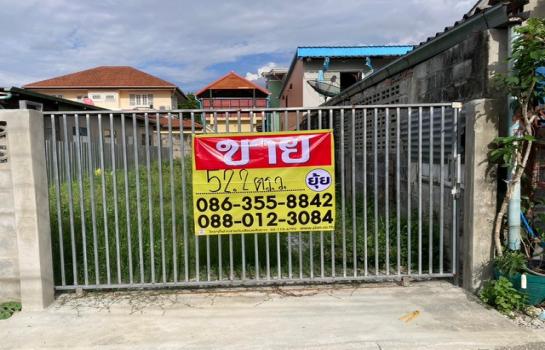 ��ا෾ �� zionasset1